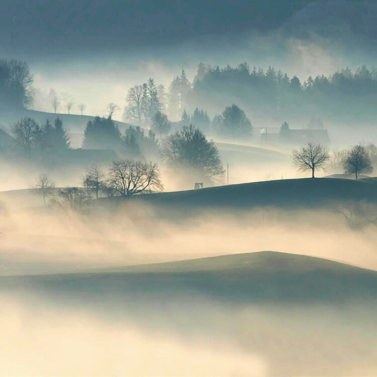 Hypnotherapy for Trauma